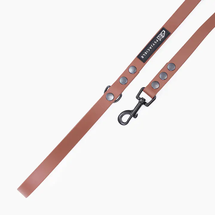 Smycz miejska Biothane® dla psa lub kota "Brown AF" - Master