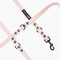 Smycz przepinana Biothane® dla psa lub kota "Beige AF" - Master