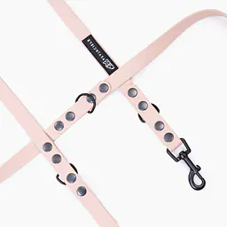 Smycz przepinana Biothane® dla psa lub kota "Beige AF" - Master