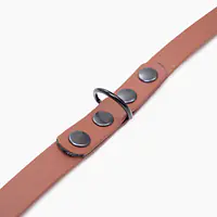 Smycz przepinana Biothane® dla psa lub kota "Brown AF" - Master