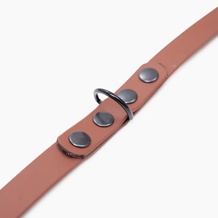 Smycz przepinana Biothane® dla psa lub kota "Brown AF" - Master