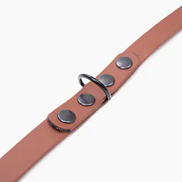 Smycz przepinana Biothane® dla psa lub kota "Brown AF" - Master