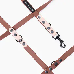 Smycz przepinana Biothane® dla psa lub kota "Brown with Beige" - Master