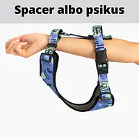 Stay-on pressure-free harness "Under my ombrella" turquoise - Master