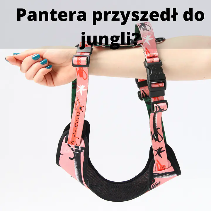 Stay-on pressure-free harness "Under my ombrella" turquoise - Master