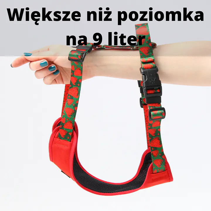 Stay-on pressure-free harness "Under my ombrella" turquoise - Master