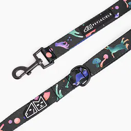 "Psychedelic" city leash - Master