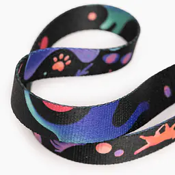"Psychedelic" city leash - Master