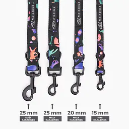 "Psychedelic" city leash - Master