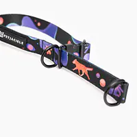 Half-clamp collar "Psychedelic" - Master