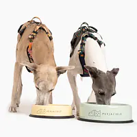 Miska "Dej dej dej" większa - Master