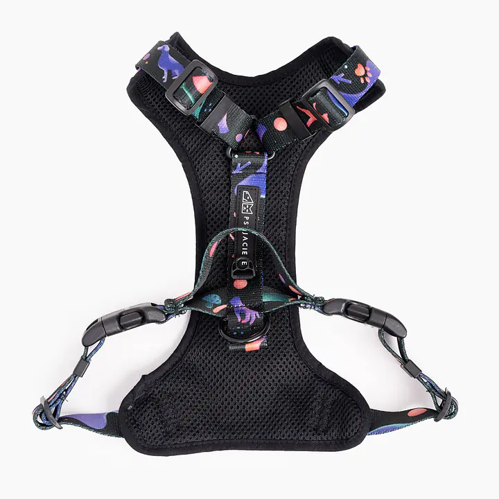 "Under my ombrella" pressure-free harness - Master