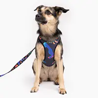 "Under my ombrella" pressure-free harness - Master