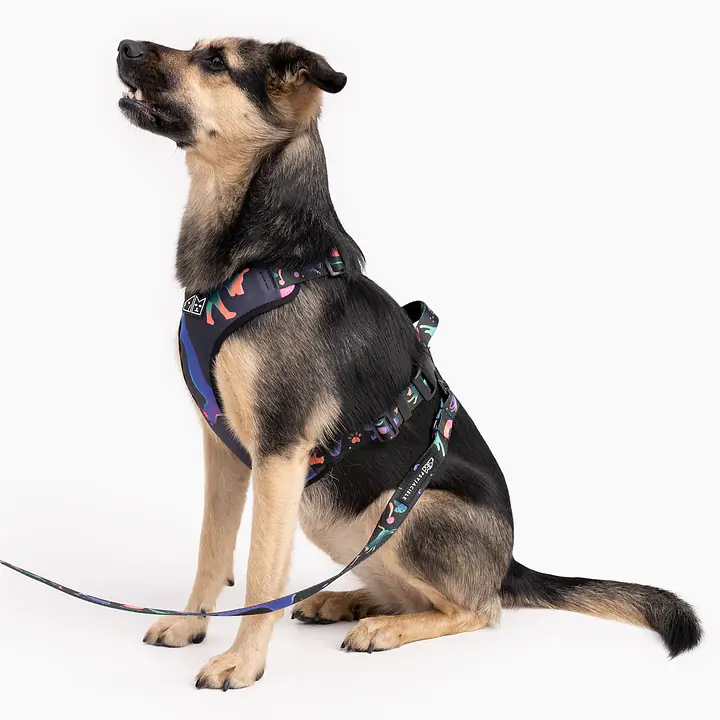 "Under my ombrella" pressure-free harness - Master