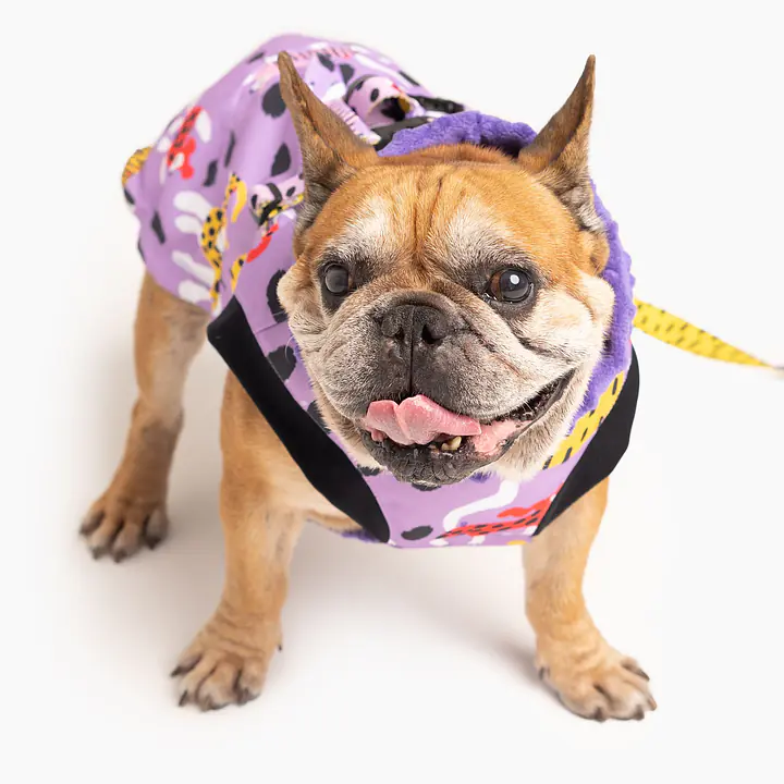 Kurtka dla psa "Pieski floreski" - Master