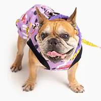 Kurtka dla psa "Pieski floreski" - Master