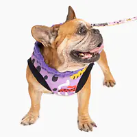 Kurtka dla psa "Pieski floreski" - Master