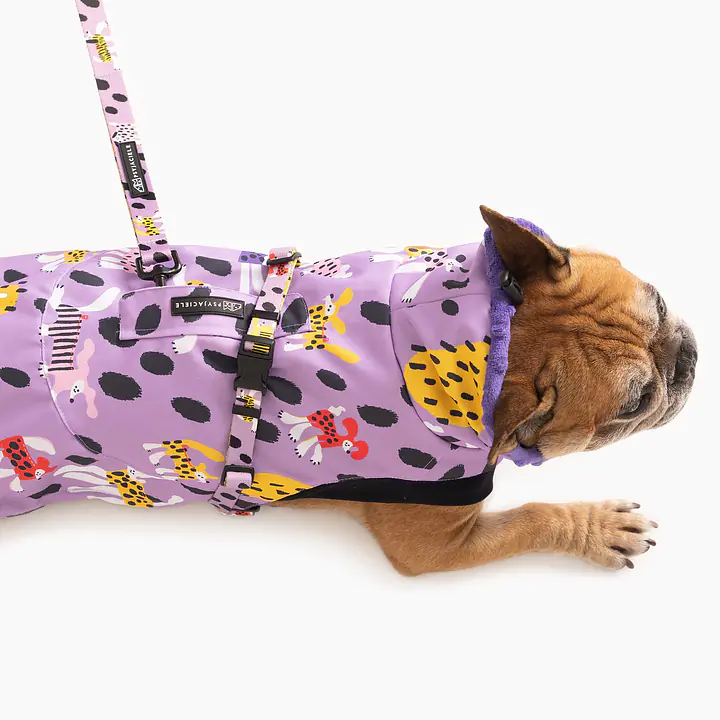 Kurtka dla psa "Pieski floreski" - Master