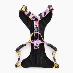 Szelki bezuciskowe dla psa lub kota "Pieski floreski" - Master