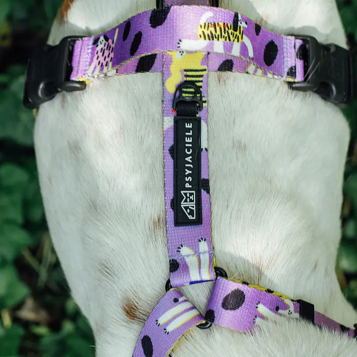 Szelki bezuciskowe dla psa lub kota "Pieski floreski" - Master