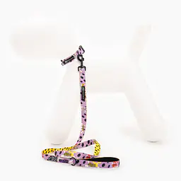 Dog or cat collar "Doggo in sheep's clothing" - Master