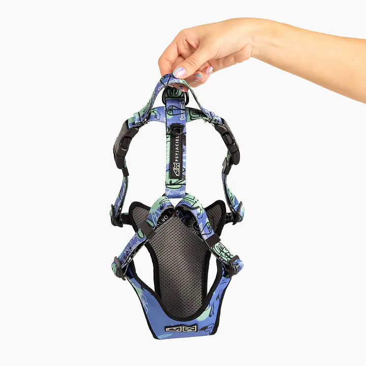 Dog or cat pressure free harness "Walk or treat" - Master