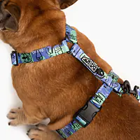 WYPRZEDAŻ  Szelki dla psa lub kota typu guard "Spacer albo psikus" - Master