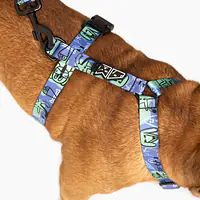 WYPRZEDAŻ  Szelki dla psa lub kota typu guard "Spacer albo psikus" - Master