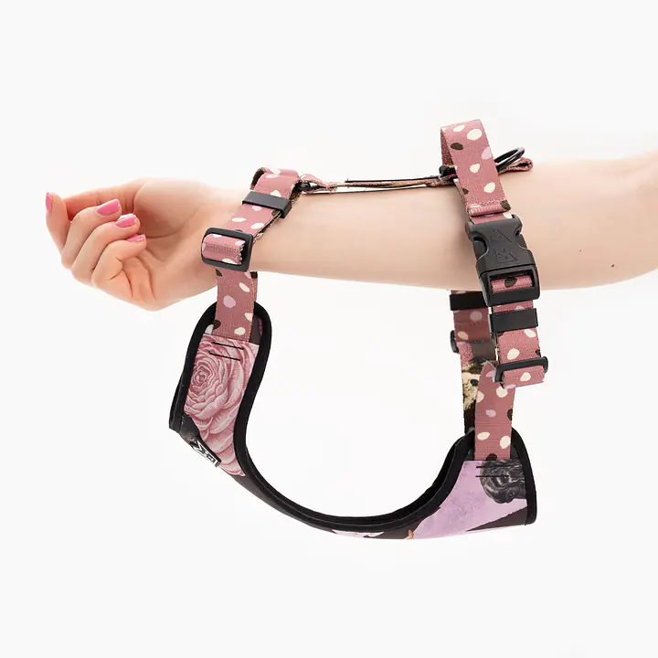 WYPRZEDAZ Szelki bezuciskowe dla psa lub kota "Dobry, taki nie za słodki" - Master