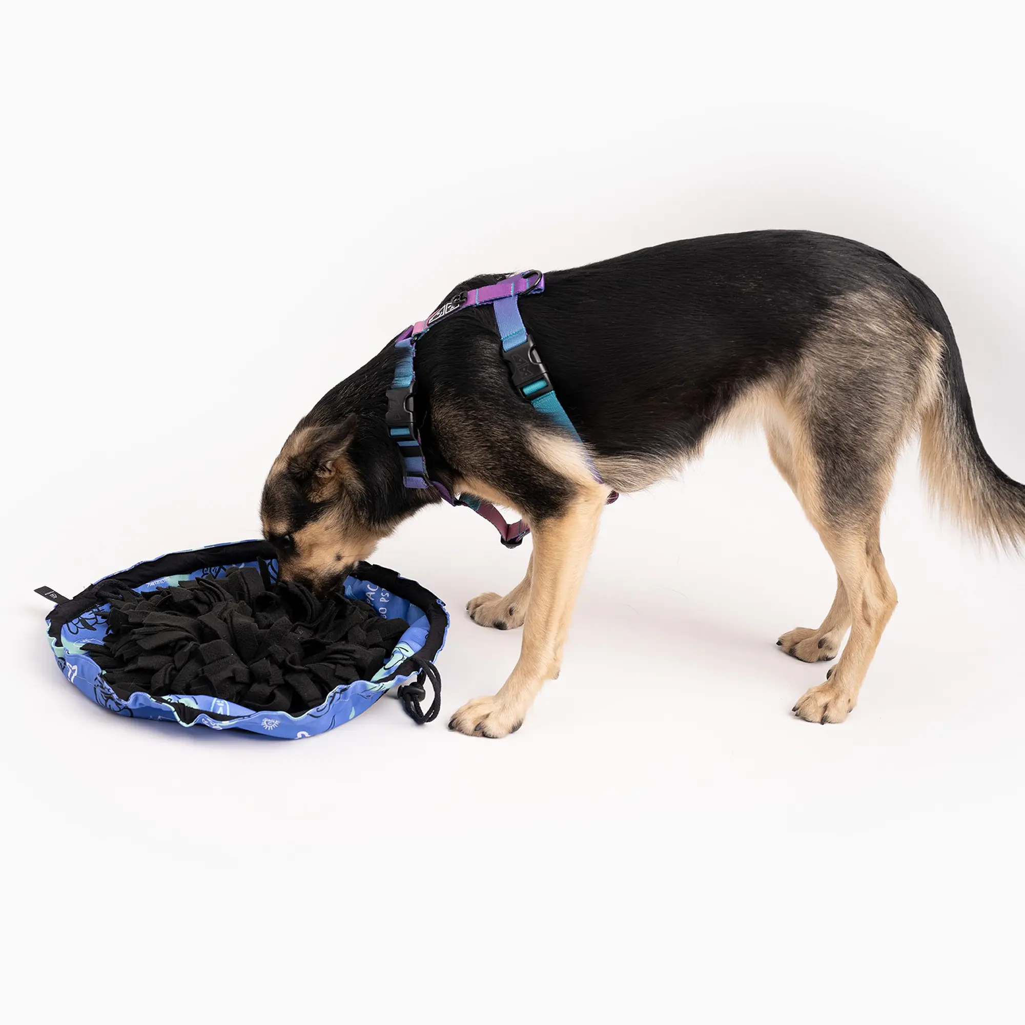 Portable Snuffle mat "Respect the wildness" - Master
