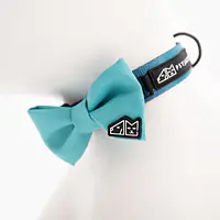 Bow tie "Miami vibe"  - Master