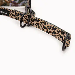 Half-clamp collar "Respect the wildness" LEOPARD PATTERN ON THE TOP - Master