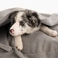 Round cushion with hood "Made in Grey" - Master