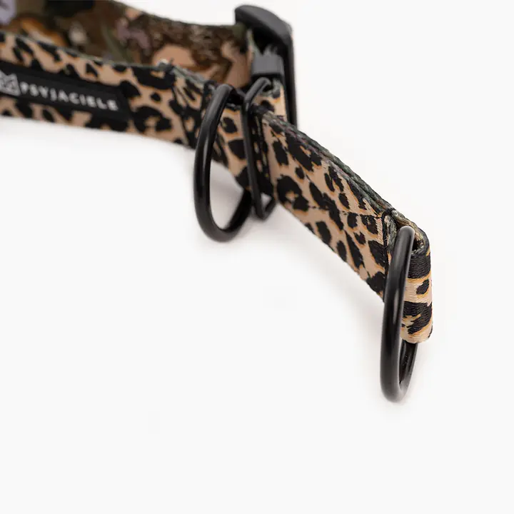 Half-clamp collar "Respect the wildness" LEOPARD PATTERN ON THE TOP - Master