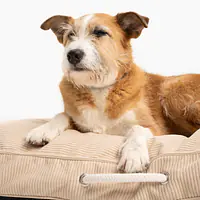 Legowisko Poducha dla psa lub kota "Pies on the beach" - Master