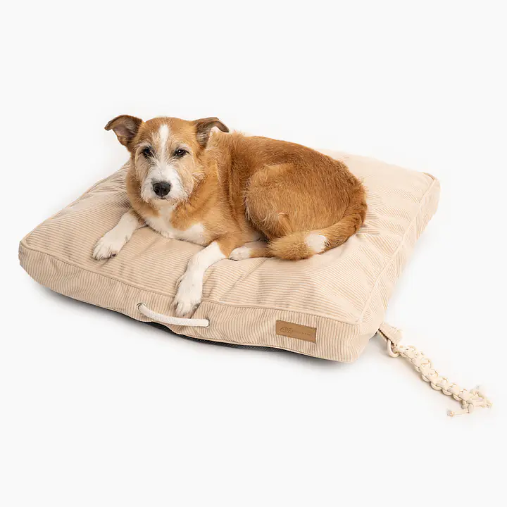 Legowisko Poducha dla psa lub kota "Pies on the beach" - Master