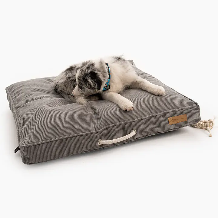 Cushion "Made in Grey" - Master