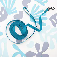 Smycz treningowa Turquoise  AF - Master