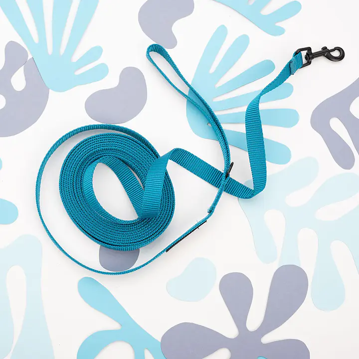 Smycz treningowa Turquoise  AF - Master