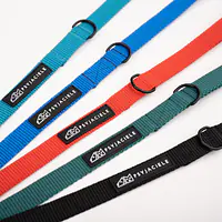 Smycz treningowa Turquoise  AF - Master