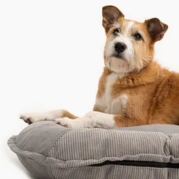 Pontoon sofa for dogs and cats - pattern: Made in grey, Size: M