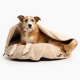 Round pillow with a hood for your dog or cat  - pattern: Dog on the beach, Size: M