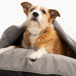 Round pillow with a hood for your dog or cat  - pattern: Made in grey, Size: S
