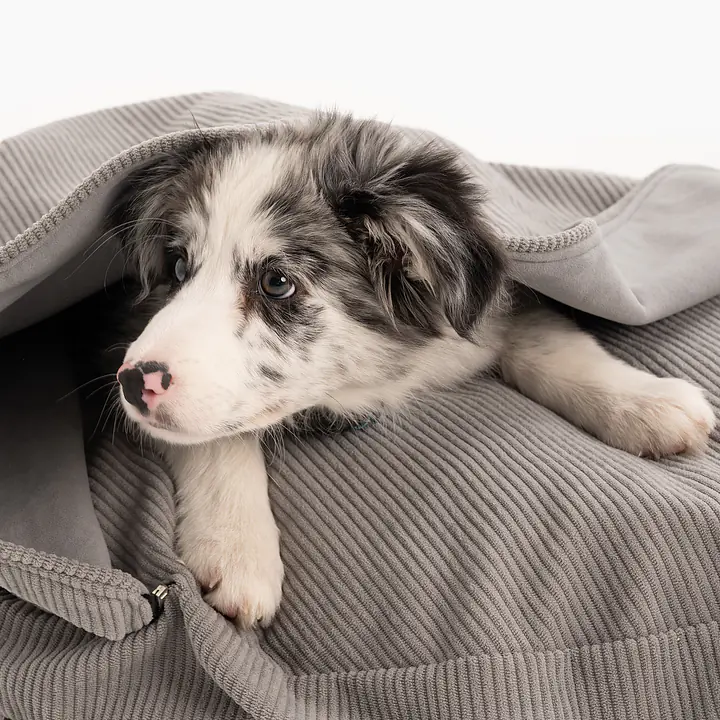 Round pillow with a hood for your dog or cat  - pattern: Made in grey, Size: S