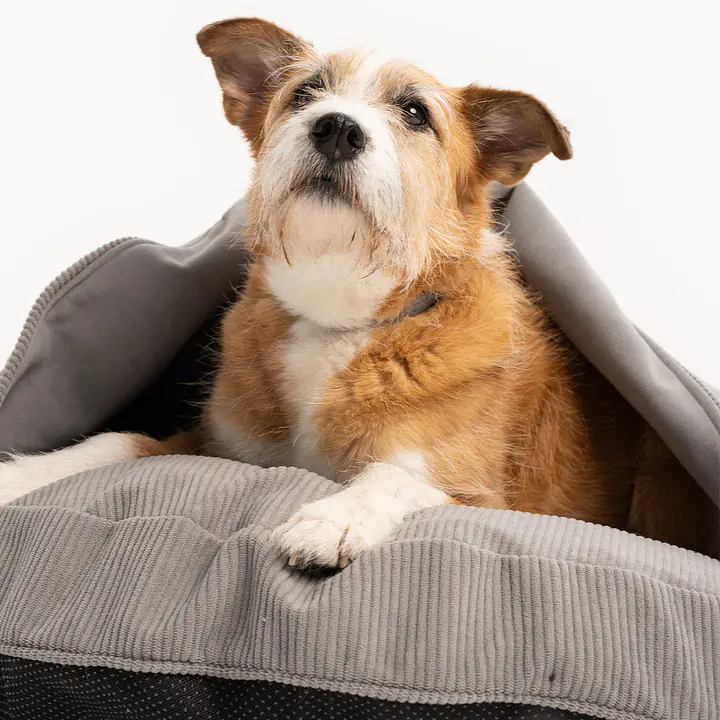 Cover for round pillow with a hood for your dog or cat  - pattern: Made in grey, Size: M