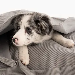 Cover for round pillow with a hood for your dog or cat  - pattern: Made in grey, Size: M