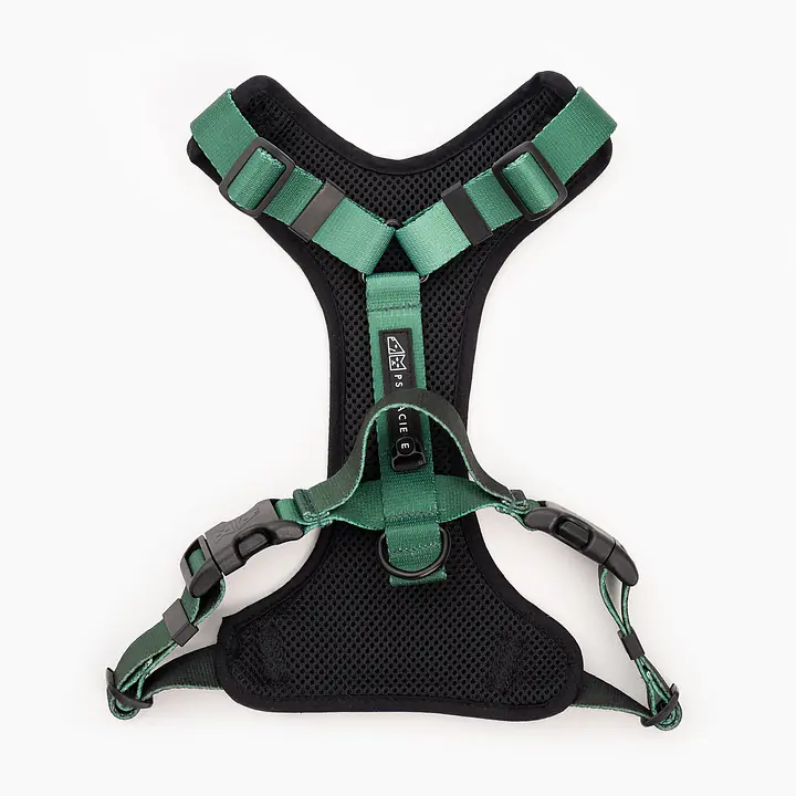 Szelki bezuciskowe dla psa lub kota "Under my ombrella" ZIELEŃ - Master