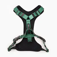 Szelki bezuciskowe dla psa lub kota "Under my ombrella" ZIELEŃ - Master