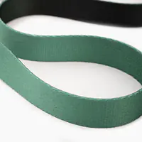 City leash "Under my ombrella" green  - Master