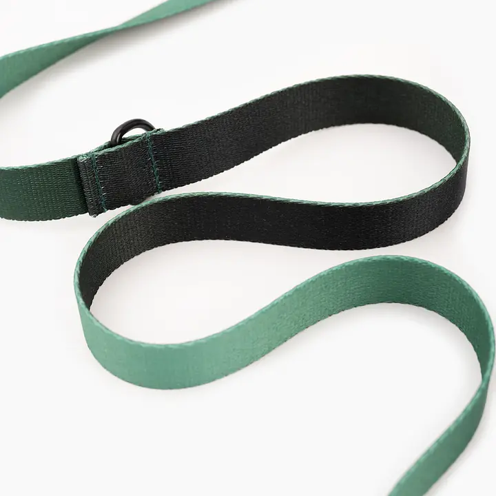 City leash "Under my ombrella" green  - Master